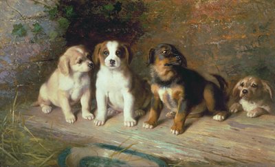 السباق القادم بواسطة وليام سترات